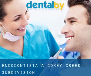 Endodontista a Coxey Creek Subdivision