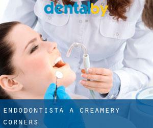 Endodontista a Creamery Corners