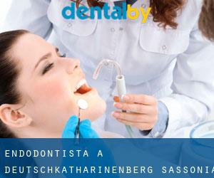 Endodontista a Deutschkatharinenberg (Sassonia)