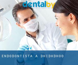 Endodontista a Dhidhdhoo