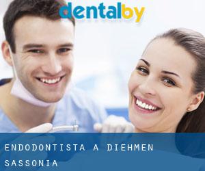 Endodontista a Diehmen (Sassonia)