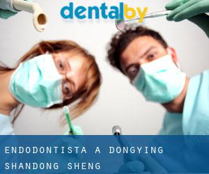 Endodontista a Dongying (Shandong Sheng) Endodontista a Dongying (Shandong Sheng)
