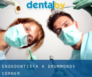Endodontista a Drummonds Corner
