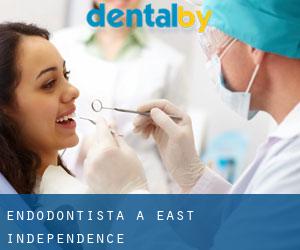 Endodontista a East Independence