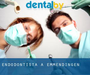 Endodontista a Emmendingen Endodontista a Emmendingen