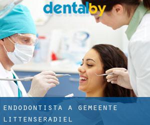 Endodontista a Gemeente Littenseradiel