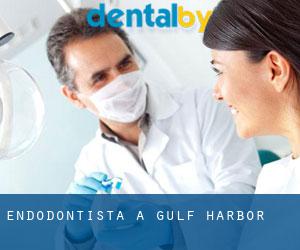 Endodontista a Gulf Harbor