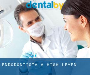 Endodontista a High Leven