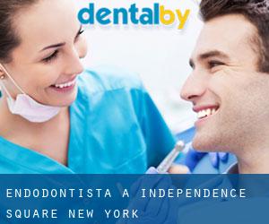 Endodontista a Independence Square (New York)