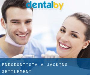 Endodontista a Jackins Settlement