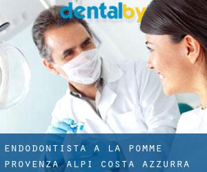 Endodontista a La Pomme (Provenza-Alpi-Costa Azzurra)