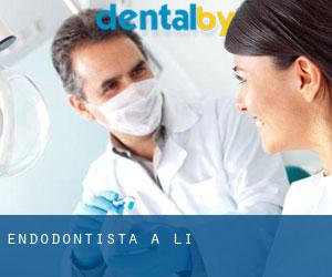 Endodontista a Li