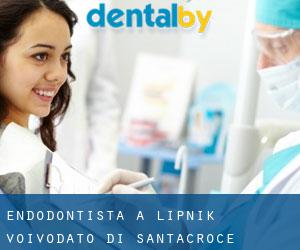 Endodontista a Lipnik (Voivodato di Santacroce)
