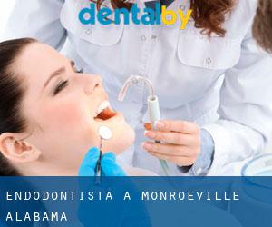 Endodontista a Monroeville (Alabama)