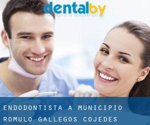 Endodontista a Municipio Rómulo Gallegos (Cojedes)