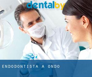 Endodontista a Ondo Endodontista a Ondo