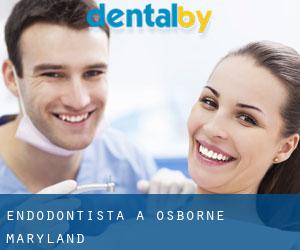Endodontista a Osborne (Maryland)