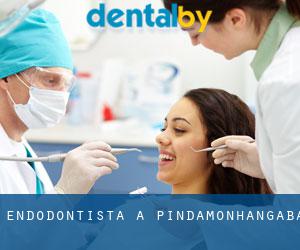 Endodontista a Pindamonhangaba