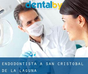 Endodontista a San Cristóbal de La Laguna