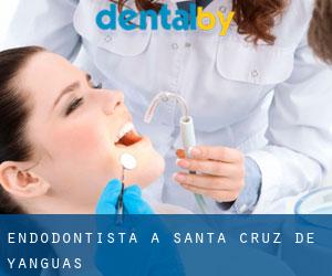 Endodontista a Santa Cruz de Yanguas