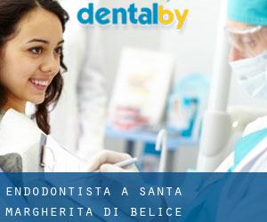Endodontista a Santa Margherita di Belice