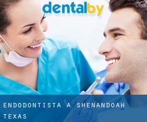 Endodontista a Shenandoah (Texas)