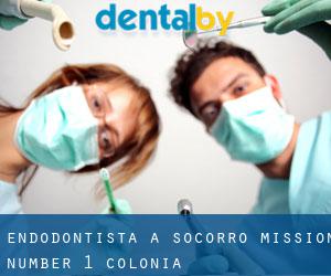 Endodontista a Socorro Mission Number 1 Colonia