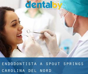 Endodontista a Spout Springs (Carolina del Nord)