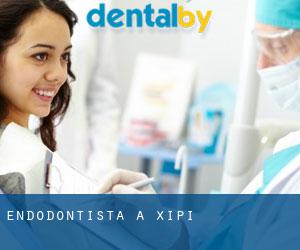 Endodontista a Xipi