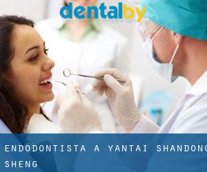 Endodontista a Yantai (Shandong Sheng)