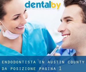 Endodontista in Austin County da posizione - pagina 1