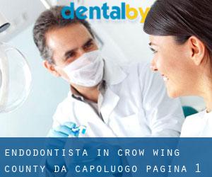 Endodontista in Crow Wing County da capoluogo - pagina 1