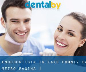 Endodontista in Lake County da metro - pagina 1