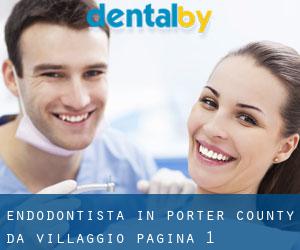 Endodontista in Porter County da villaggio - pagina 1