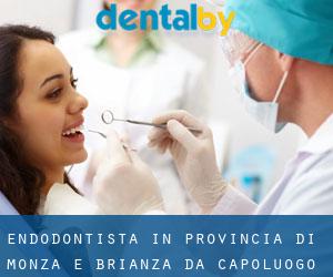 Endodontista in Provincia di Monza e Brianza da capoluogo - pagina 1