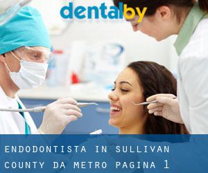 Endodontista in Sullivan County da metro - pagina 1