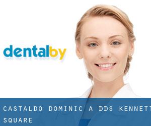 Castaldo Dominic A DDS (Kennett Square)