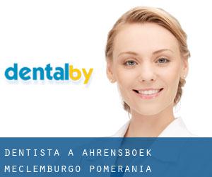 dentista a Ahrensboek (Meclemburgo-Pomerania Anteriore)