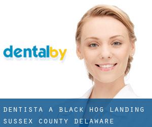 dentista a Black Hog Landing (Sussex County, Delaware)