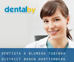 dentista a Blumegg (Tubinga District, Baden-Württemberg)