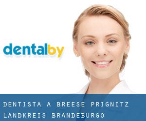 dentista a Breese (Prignitz Landkreis, Brandeburgo) dentista a Breese (Prignitz Landkreis, Brandeburgo)