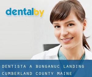 dentista a Bunganuc Landing (Cumberland County, Maine)