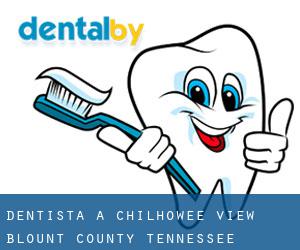 dentista a Chilhowee View (Blount County, Tennessee)