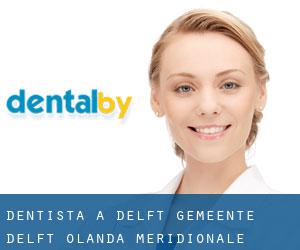 dentista a Delft (Gemeente Delft, Olanda Meridionale) dentista a Delft (Gemeente Delft, Olanda Meridionale)