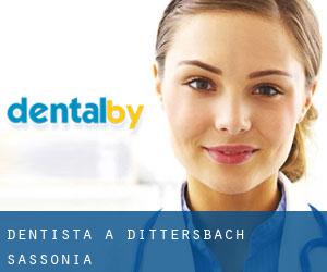 dentista a Dittersbach (Sassonia)