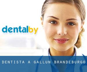 dentista a Gallun (Brandeburgo)