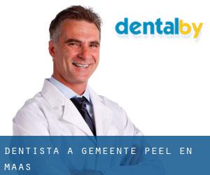 dentista a Gemeente Peel en Maas