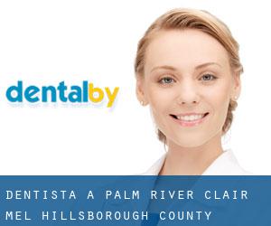 dentista a Palm River-Clair Mel (Hillsborough County, Florida)
