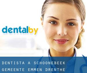 dentista a Schoonebeek (Gemeente Emmen, Drenthe)