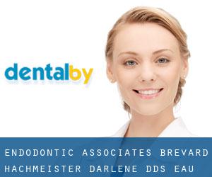 Endodontic Associates-Brevard: Hachmeister Darlene DDS (Eau Gallie)